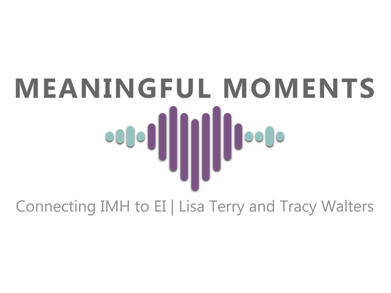 Meaningfull Moments - Connecting IMG to EI with Lisa Terry and Tracey Walters